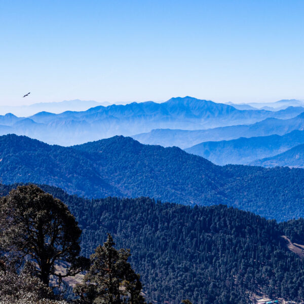 A beautiful morning with a fantastic mountain landscape - Chopta-Tungnath-Uttarakhand-India - Abokash Images