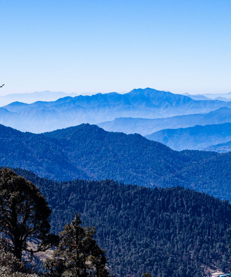 A beautiful morning with a fantastic mountain landscape - Chopta-Tungnath-Uttarakhand-India - Abokash Images