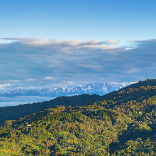 A fresh morning with lovely view of Kanchenjunga and Himalayan Range from Jhandi dara - Abokash images